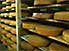 Cheese ripening in the cellar of a small local dairy