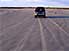 Burning rubber on the beach, being careful not to run over penguins