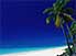 Everything looking perfect at Muli beach, on Ouvea