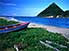 Canine has faith, but stays on land - Levera Beach opposite Sugar Loaf Island