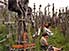 Pilgrims listening to a mass at the foot of the Hill of Crosses, Siauliai