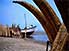  (totora reed boats) drying on the beach at Pimentel