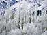 Pack your thermals: frosty Yukon