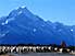 Sheep on Mt Cook Road with Aoraki (Mt Cook) looming behind