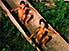 Boys boating on dry land in a traditional dugout canoe