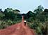 Lone man with umbrella on dirt road from Bangui to Kembe Falls