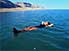 Keeping afloat in the Dead Sea: ordinary sea, 6% salt; Dead Sea, 30% salt