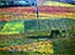Patchwork of autumnal vineyards, Beaujolais