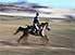 Have a stab at : Turkey's traditional javelin-throwing equestrian sport