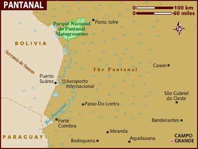 The Pantanal